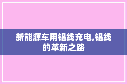 新能源车用铝线充电,铝线的革新之路