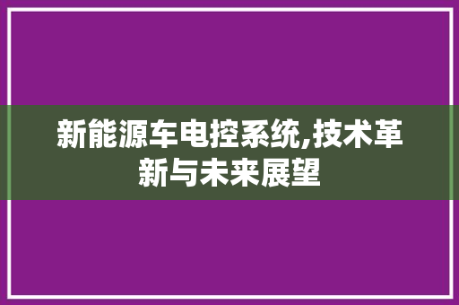 新能源车电控系统,技术革新与未来展望