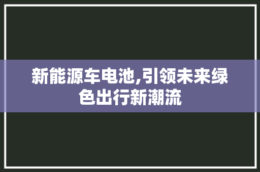 新能源车电池,引领未来绿色出行新潮流