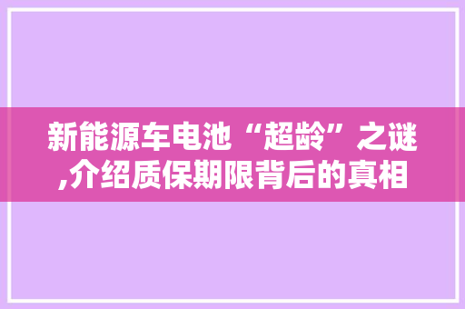 新能源车电池“超龄”之谜,介绍质保期限背后的真相