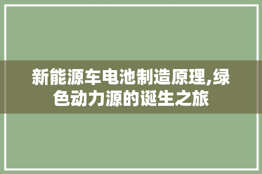 新能源车电池制造原理,绿色动力源的诞生之旅