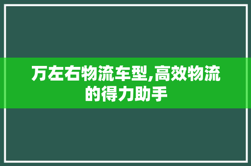 万左右物流车型,高效物流的得力助手