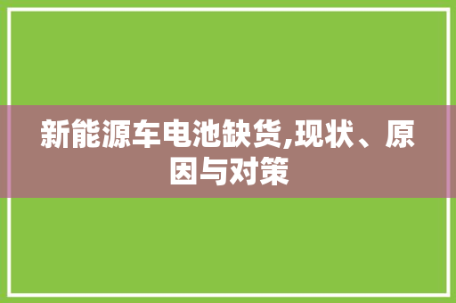 新能源车电池缺货,现状、原因与对策