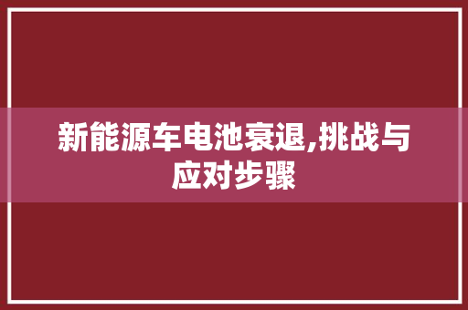 新能源车电池衰退,挑战与应对步骤