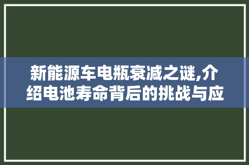 新能源车电瓶衰减之谜,介绍电池寿命背后的挑战与应对步骤
