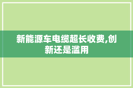 新能源车电缆超长收费,创新还是滥用