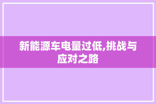 新能源车电量过低,挑战与应对之路