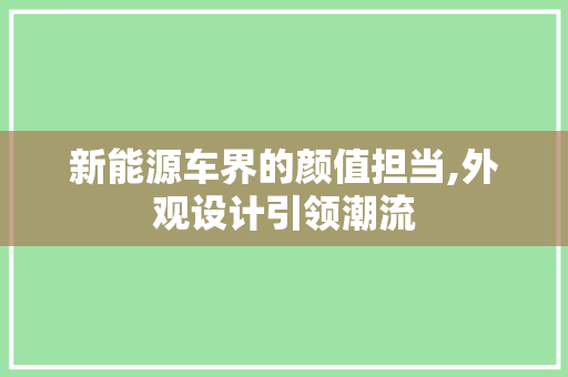 新能源车界的颜值担当,外观设计引领潮流