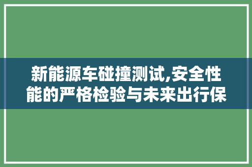 新能源车碰撞测试,安全性能的严格检验与未来出行保障