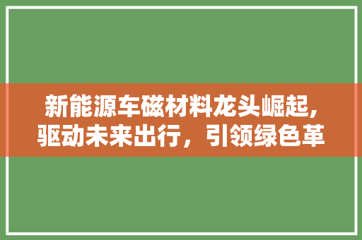 新能源车磁材料龙头崛起,驱动未来出行，引领绿色革命