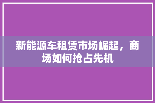新能源车租赁市场崛起，商场如何抢占先机