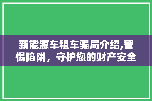 新能源车租车骗局介绍,警惕陷阱，守护您的财产安全