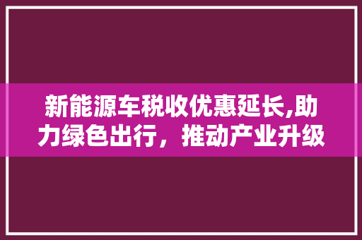 新能源车税收优惠延长,助力绿色出行，推动产业升级