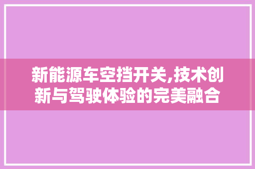新能源车空挡开关,技术创新与驾驶体验的完美融合