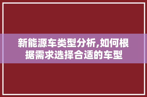 新能源车类型分析,如何根据需求选择合适的车型