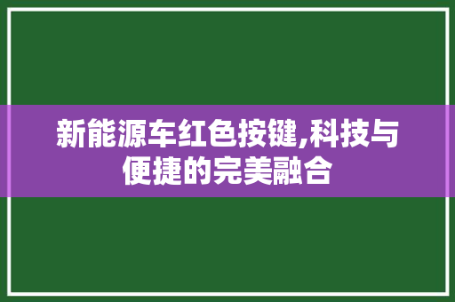 新能源车红色按键,科技与便捷的完美融合