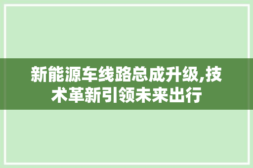新能源车线路总成升级,技术革新引领未来出行
