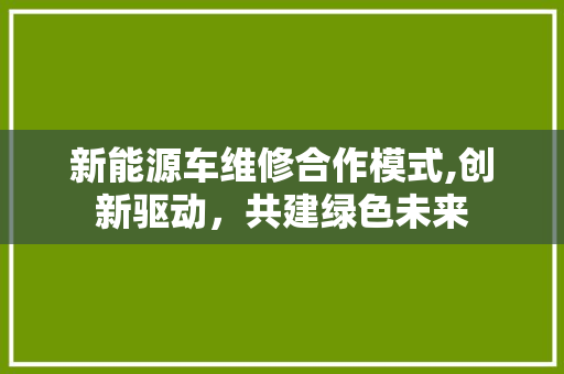 新能源车维修合作模式,创新驱动，共建绿色未来