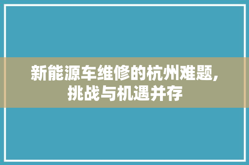 新能源车维修的杭州难题,挑战与机遇并存