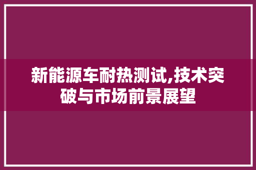 新能源车耐热测试,技术突破与市场前景展望