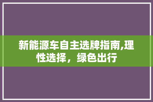 新能源车自主选牌指南,理性选择，绿色出行