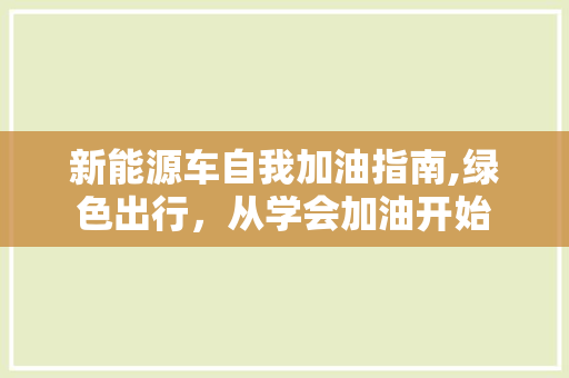 新能源车自我加油指南,绿色出行，从学会加油开始