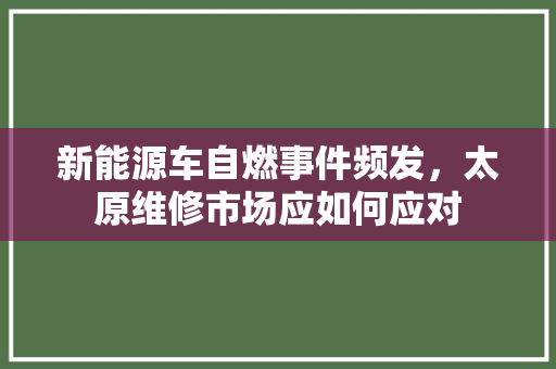 新能源车自燃事件频发，太原维修市场应如何应对