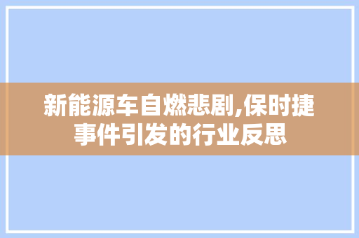 新能源车自燃悲剧,保时捷事件引发的行业反思