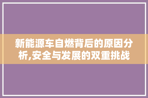 新能源车自燃背后的原因分析,安全与发展的双重挑战