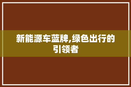 新能源车蓝牌,绿色出行的引领者