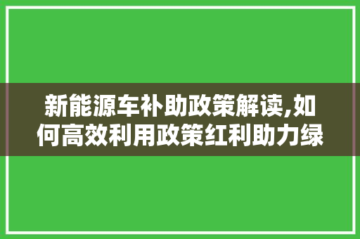 新能源车补助政策解读,如何高效利用政策红利助力绿色出行