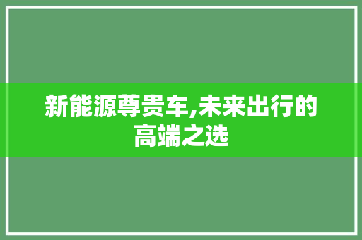 新能源尊贵车,未来出行的高端之选