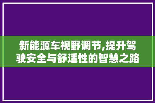 新能源车视野调节,提升驾驶安全与舒适性的智慧之路