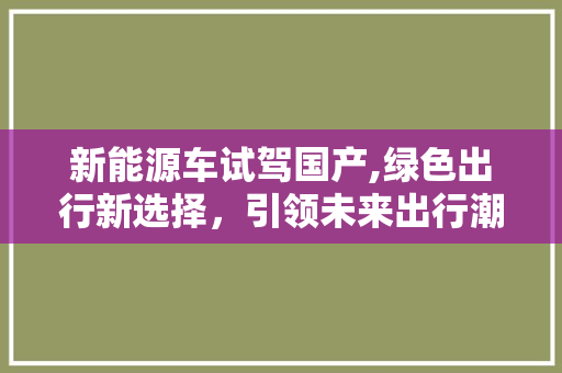 新能源车试驾国产,绿色出行新选择，引领未来出行潮流