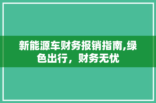 新能源车财务报销指南,绿色出行，财务无忧