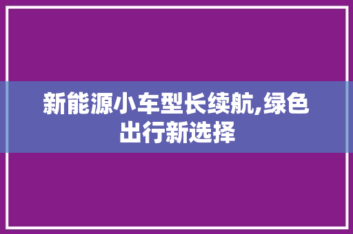 新能源小车型长续航,绿色出行新选择