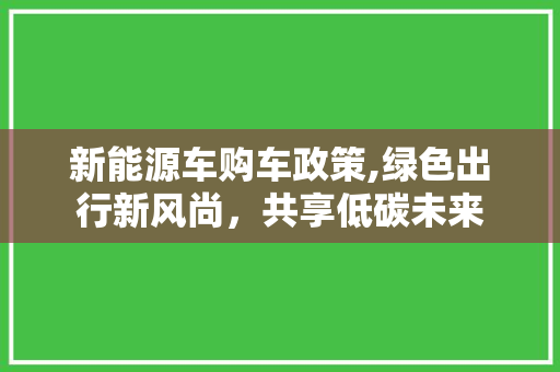 新能源车购车政策,绿色出行新风尚，共享低碳未来