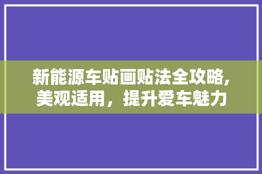 新能源车贴画贴法全攻略,美观适用，提升爱车魅力
