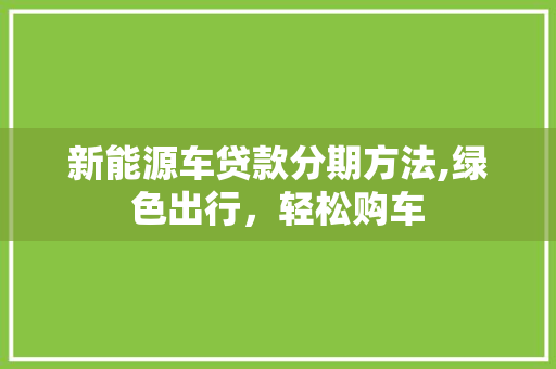 新能源车贷款分期方法,绿色出行，轻松购车