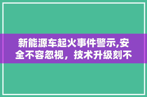 新能源车起火事件警示,安全不容忽视，技术升级刻不容缓