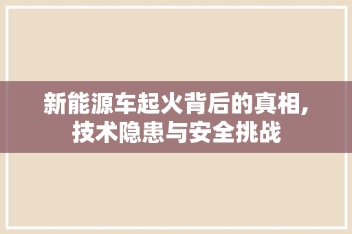 新能源车起火背后的真相,技术隐患与安全挑战