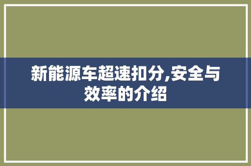 新能源车超速扣分,安全与效率的介绍