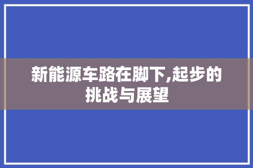 新能源车路在脚下,起步的挑战与展望