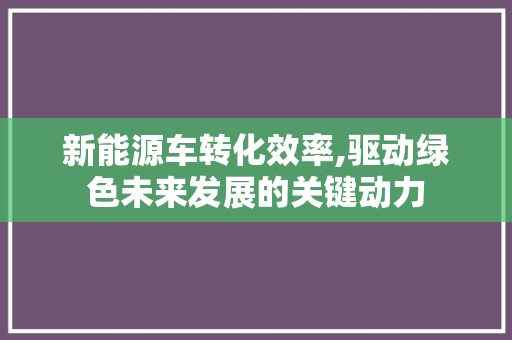 新能源车转化效率,驱动绿色未来发展的关键动力