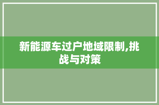 新能源车过户地域限制,挑战与对策