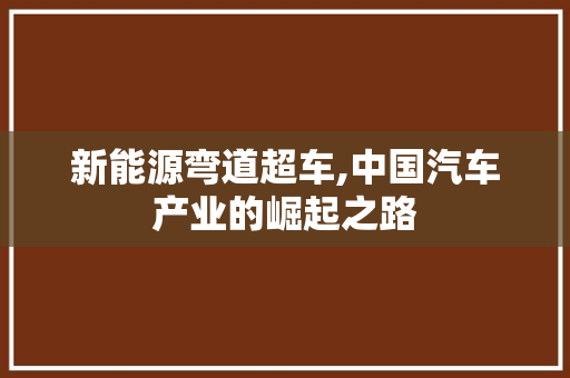 新能源弯道超车,中国汽车产业的崛起之路