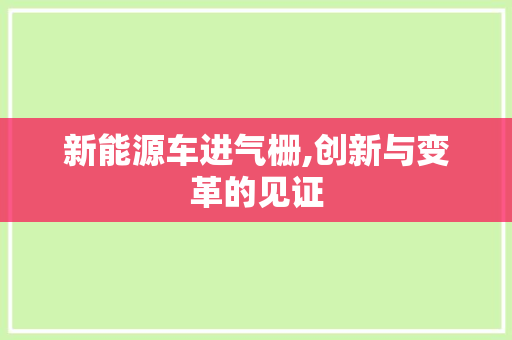 新能源车进气栅,创新与变革的见证