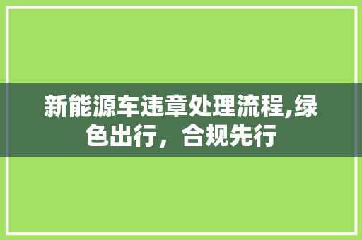 新能源车违章处理流程,绿色出行，合规先行
