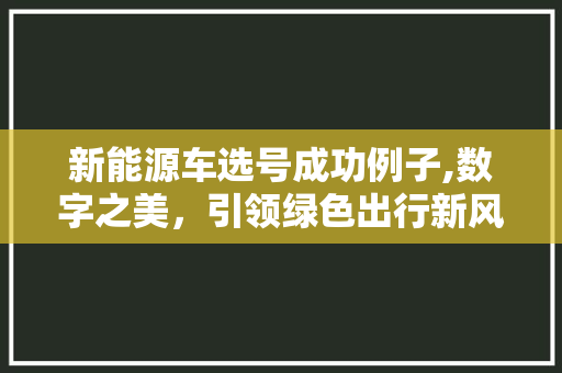 新能源车选号成功例子,数字之美，引领绿色出行新风尚