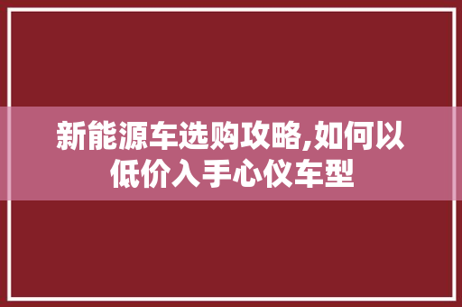 新能源车选购攻略,如何以低价入手心仪车型